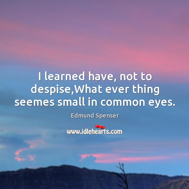 I learned have, not to despise,What ever thing seemes small in common eyes. Edmund Spenser Picture Quote