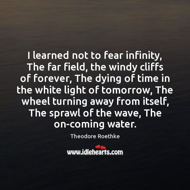 I learned not to fear infinity, The far field, the windy cliffs Theodore Roethke Picture Quote