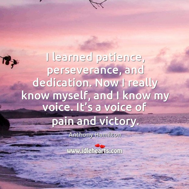 I learned patience, perseverance, and dedication. Anthony Hamilton Picture Quote