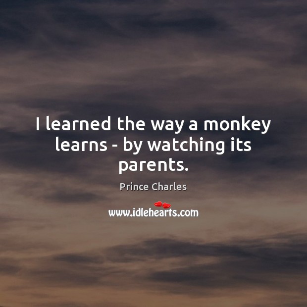 I learned the way a monkey learns – by watching its parents. Image