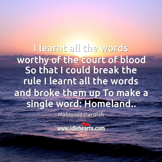 I learnt all the words worthy of the court of blood So Mahmoud Darwish Picture Quote