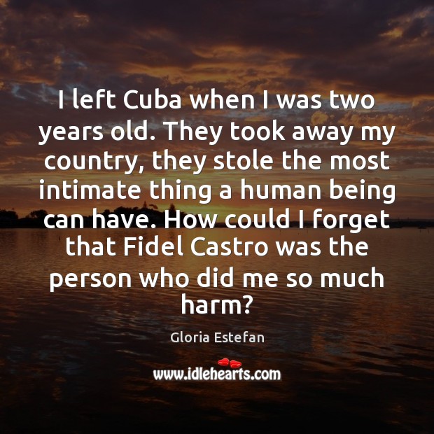 I left Cuba when I was two years old. They took away Gloria Estefan Picture Quote