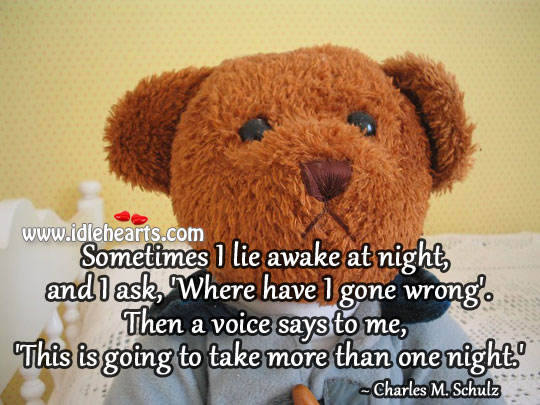 This is going to take more than one night. Charles M. Schulz Picture Quote