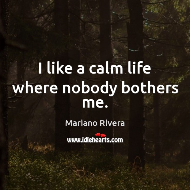 I like a calm life where nobody bothers me. Mariano Rivera Picture Quote