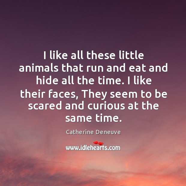 I like all these little animals that run and eat and hide all the time. Catherine Deneuve Picture Quote