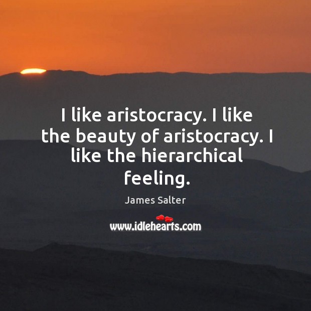 I like aristocracy. I like the beauty of aristocracy. I like the hierarchical feeling. James Salter Picture Quote