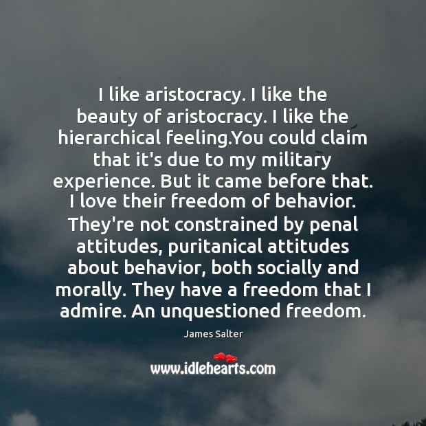 I like aristocracy. I like the beauty of aristocracy. I like the James Salter Picture Quote
