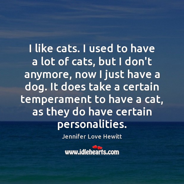 I like cats. I used to have a lot of cats, but Jennifer Love Hewitt Picture Quote