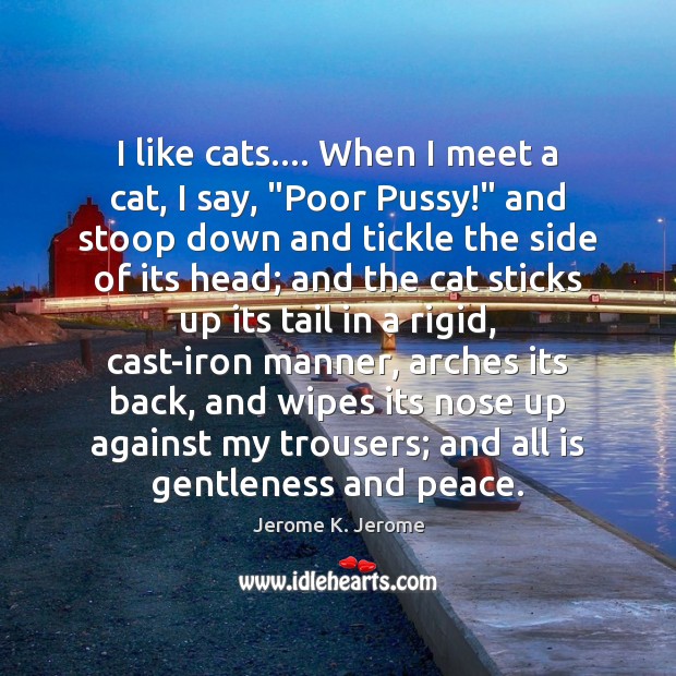 I like cats…. When I meet a cat, I say, “Poor Pussy!” Jerome K. Jerome Picture Quote