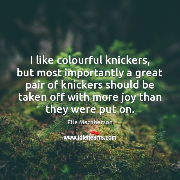 I like colourful knickers, but most importantly a great pair of knickers Elle Macpherson Picture Quote