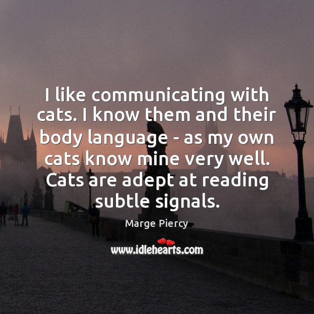 I like communicating with cats. I know them and their body language Marge Piercy Picture Quote