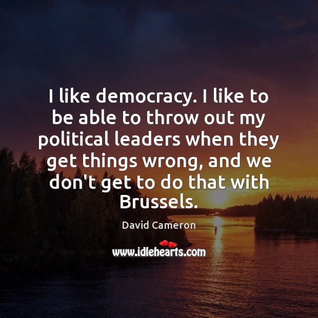 I like democracy. I like to be able to throw out my David Cameron Picture Quote