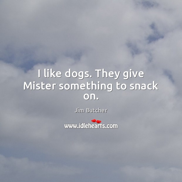 I like dogs. They give Mister something to snack on. Image