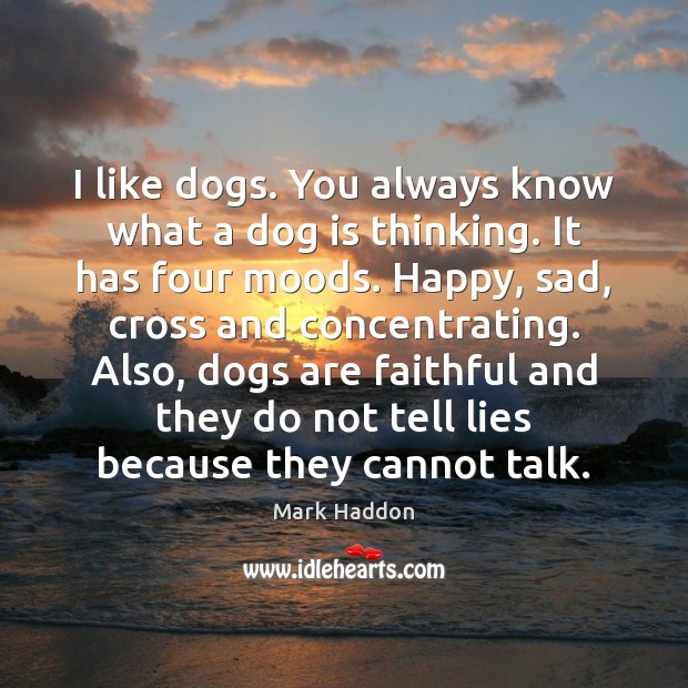 I like dogs. You always know what a dog is thinking. It Mark Haddon Picture Quote