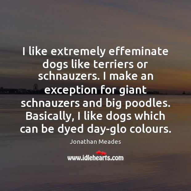 I like extremely effeminate dogs like terriers or schnauzers. I make an Jonathan Meades Picture Quote