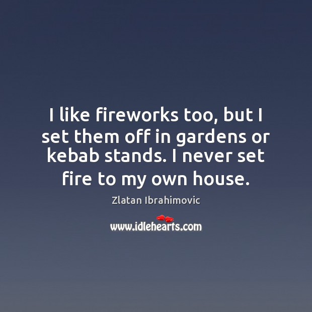 I like fireworks too, but I set them off in gardens or Zlatan Ibrahimovic Picture Quote