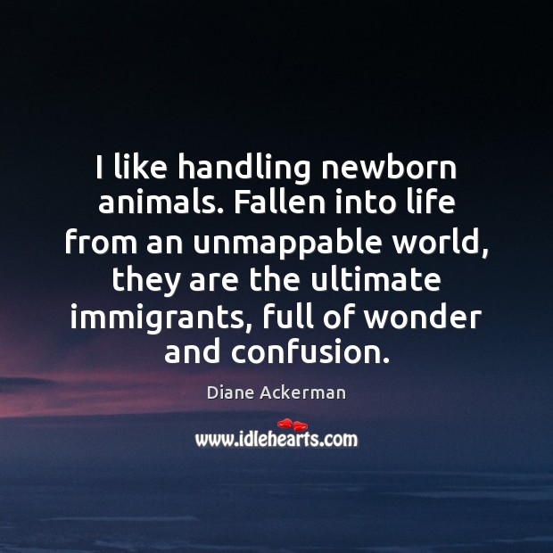 I like handling newborn animals. Fallen into life from an unmappable world, Diane Ackerman Picture Quote