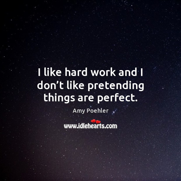 I like hard work and I don’t like pretending things are perfect. Amy Poehler Picture Quote