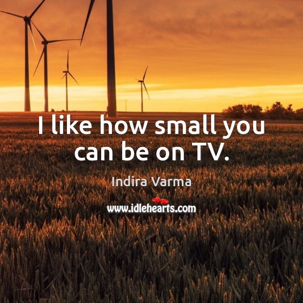 I like how small you can be on TV. Indira Varma Picture Quote