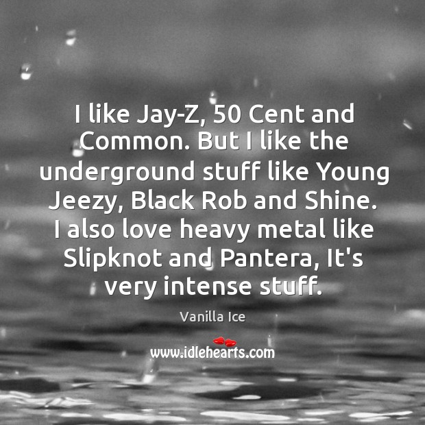 I like Jay-Z, 50 Cent and Common. But I like the underground stuff Vanilla Ice Picture Quote
