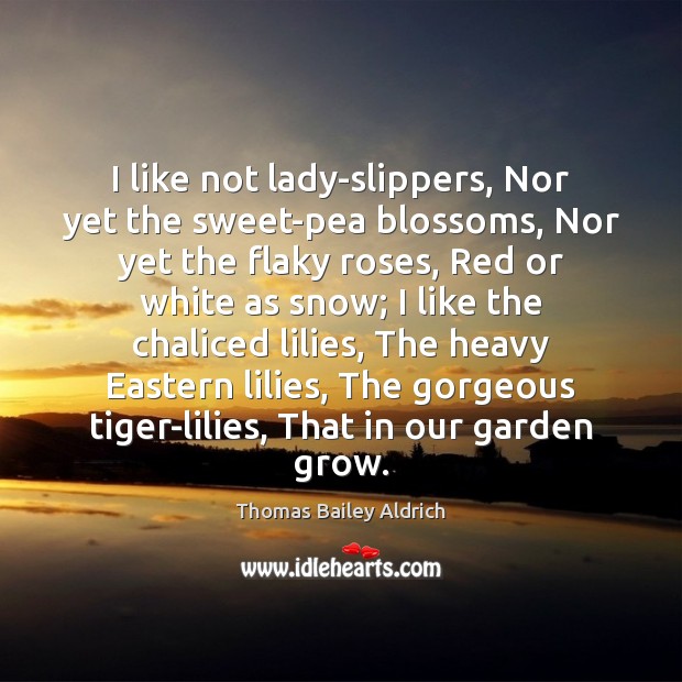I like not lady-slippers, Nor yet the sweet-pea blossoms, Nor yet the Thomas Bailey Aldrich Picture Quote
