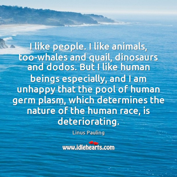 I like people. I like animals, too-whales and quail, dinosaurs and dodos. 