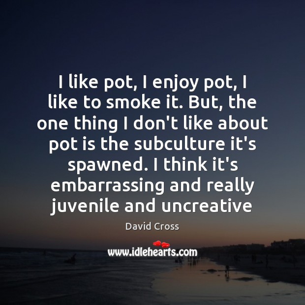 I like pot, I enjoy pot, I like to smoke it. But, David Cross Picture Quote