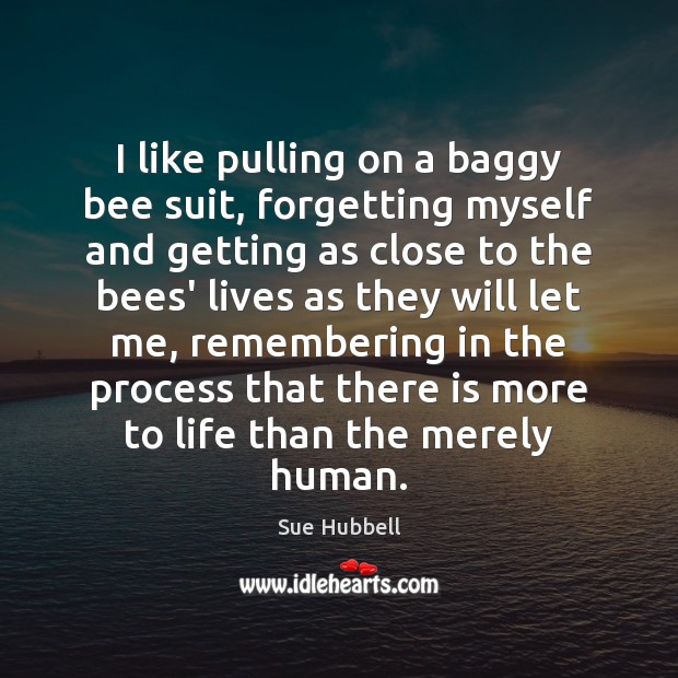 I like pulling on a baggy bee suit, forgetting myself and getting Sue Hubbell Picture Quote