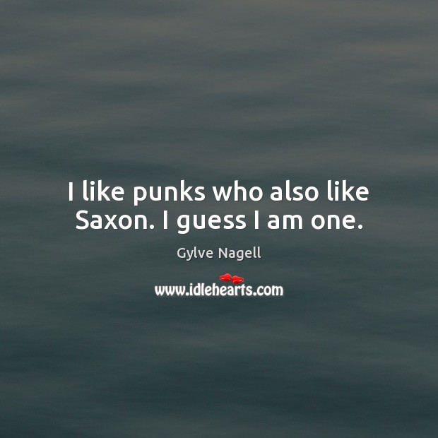 I like punks who also like Saxon. I guess I am one. Image
