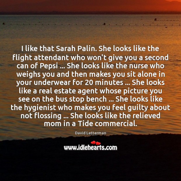 I like that Sarah Palin. She looks like the flight attendant who Real Estate Quotes Image