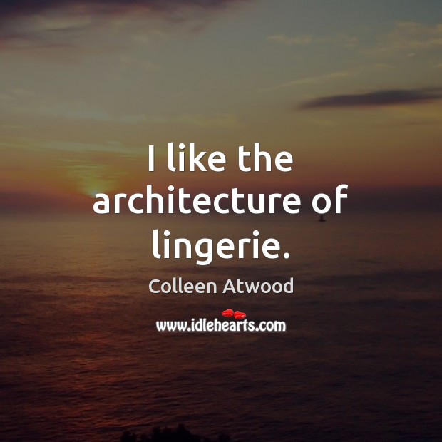 I like the architecture of lingerie. Colleen Atwood Picture Quote
