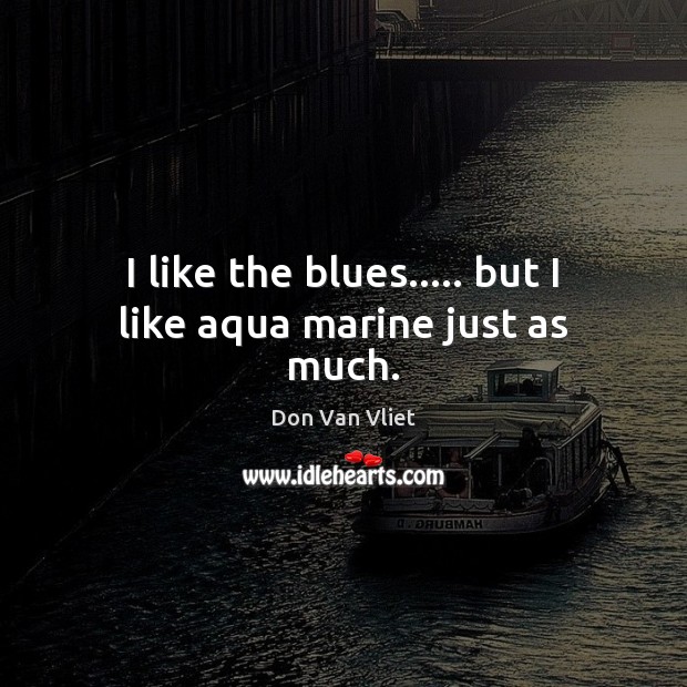 I like the blues….. but I like aqua marine just as much. Don Van Vliet Picture Quote