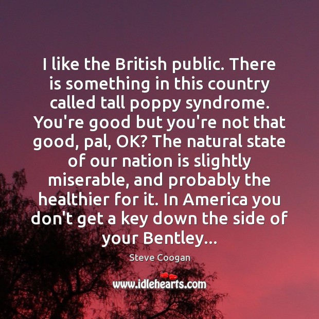 I like the British public. There is something in this country called Steve Coogan Picture Quote