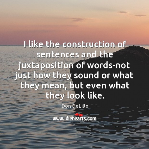I like the construction of sentences and the juxtaposition of words Don DeLillo Picture Quote