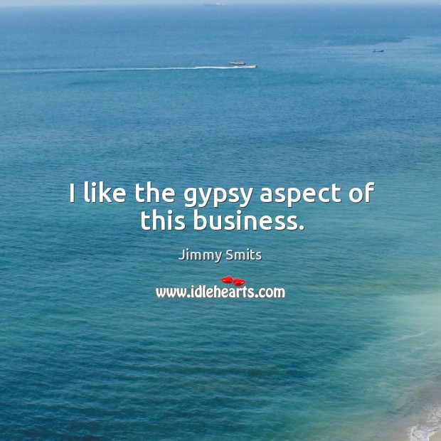I like the gypsy aspect of this business. Jimmy Smits Picture Quote