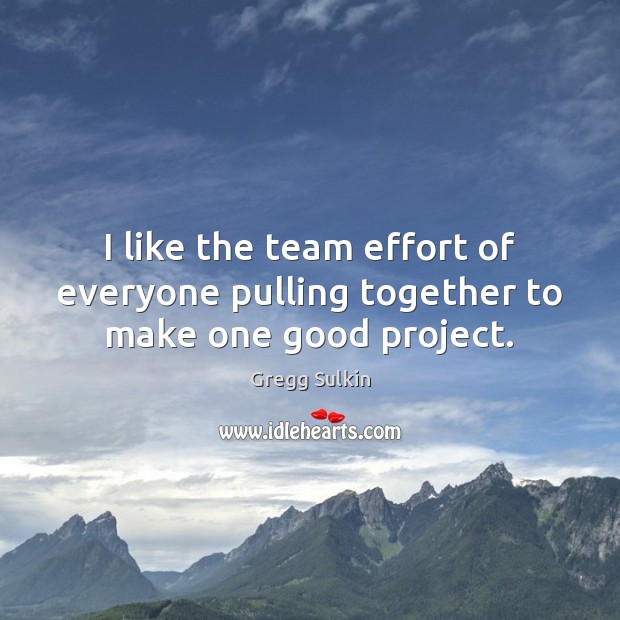 I like the team effort of everyone pulling together to make one good project. Gregg Sulkin Picture Quote