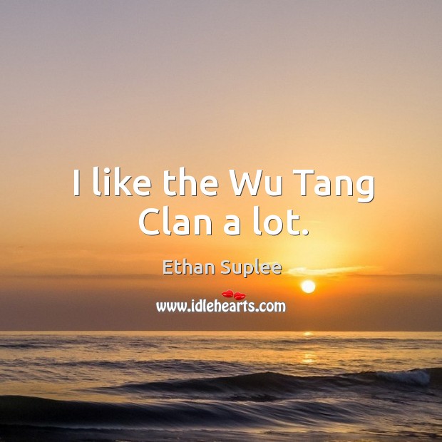 I like the wu tang clan a lot. Ethan Suplee Picture Quote