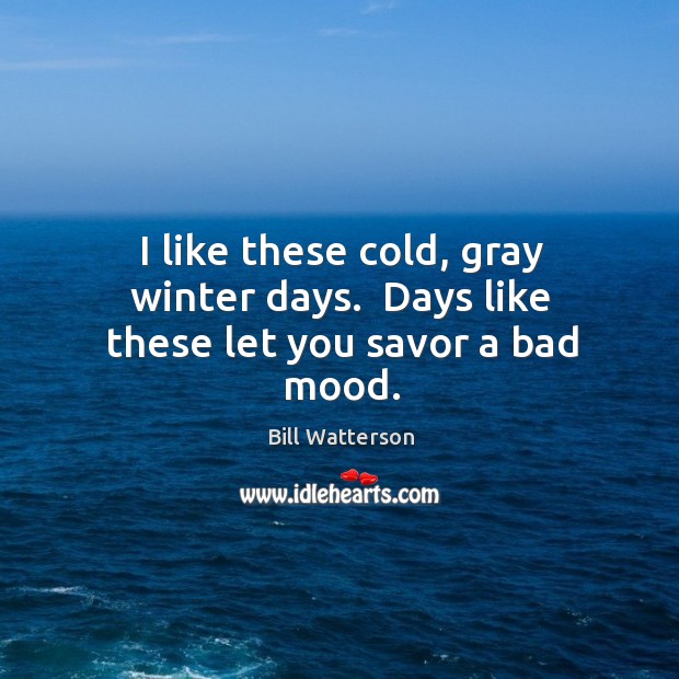 I like these cold, gray winter days.  Days like these let you savor a bad mood. Bill Watterson Picture Quote