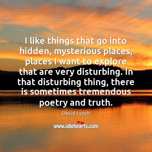 I like things that go into hidden, mysterious places, places I want Hidden Quotes Image