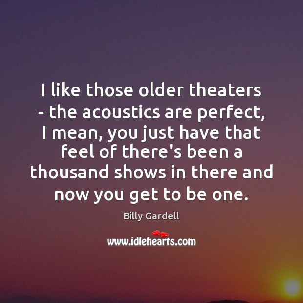 I like those older theaters – the acoustics are perfect, I mean, Billy Gardell Picture Quote