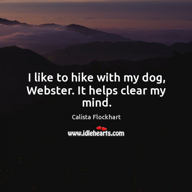 I like to hike with my dog, webster. It helps clear my mind. Image