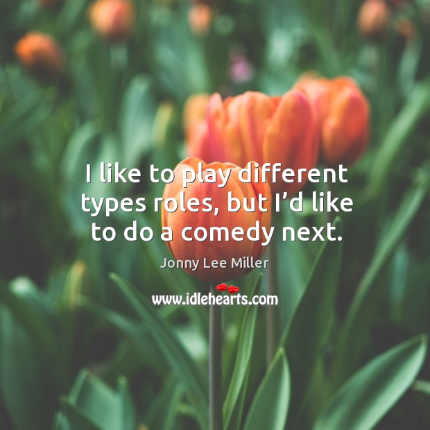 I like to play different types roles, but I’d like to do a comedy next. Jonny Lee Miller Picture Quote