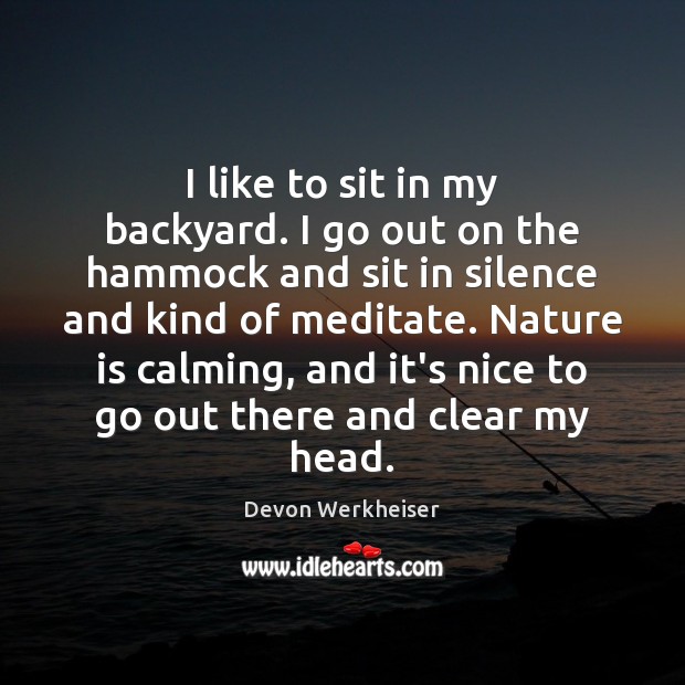 I like to sit in my backyard. I go out on the Devon Werkheiser Picture Quote