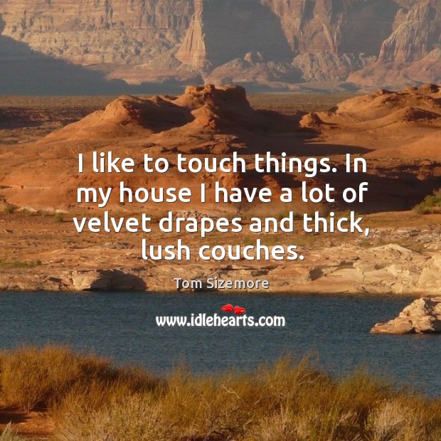 I like to touch things. In my house I have a lot of velvet drapes and thick, lush couches. Tom Sizemore Picture Quote