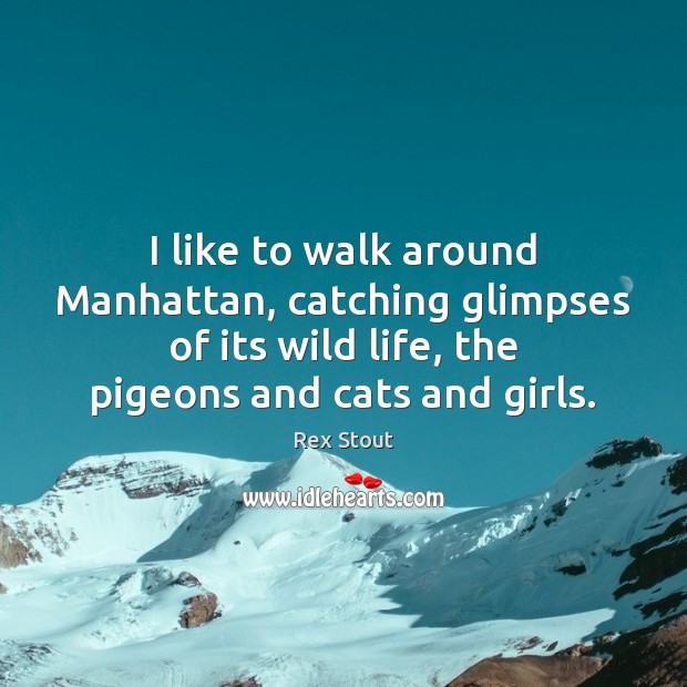 I like to walk around Manhattan, catching glimpses of its wild life, Rex Stout Picture Quote