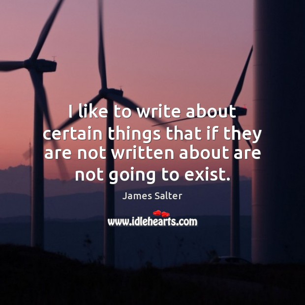 I like to write about certain things that if they are not James Salter Picture Quote