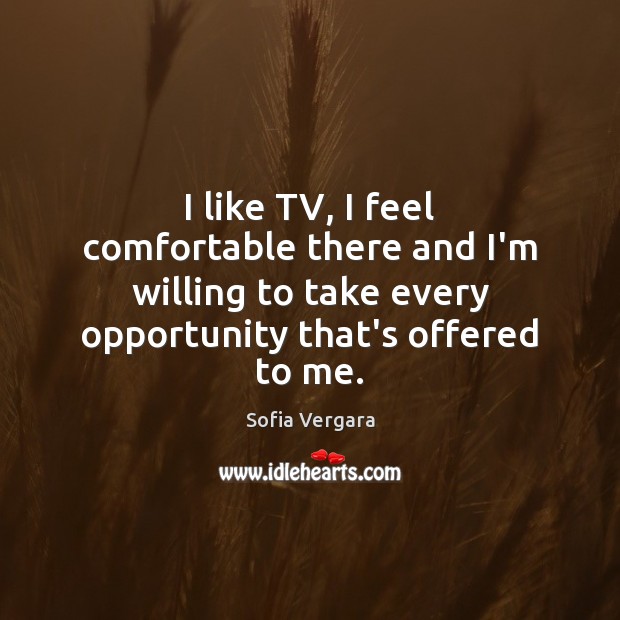 I like TV, I feel comfortable there and I’m willing to take Sofia Vergara Picture Quote