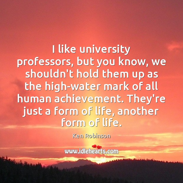 I like university professors, but you know, we shouldn’t hold them up Ken Robinson Picture Quote
