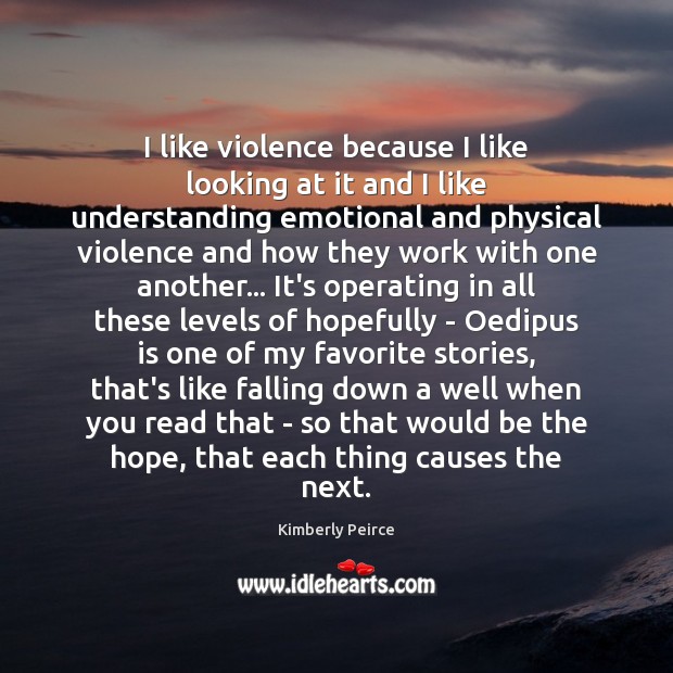 I like violence because I like looking at it and I like Kimberly Peirce Picture Quote