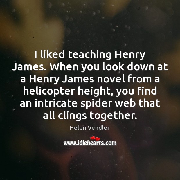 I liked teaching Henry James. When you look down at a Henry Helen Vendler Picture Quote